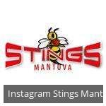 Serie A2 - le squadre ai raggi X: tutto sugli Stings Mantova